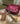 88 Lovelace Cosmetic Pouch