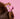 Kitsch Lisa Frank x Kitsch Cloud Clip in Angel Kitty pink