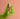 Kitsch The Grinch x Kitsch Whoville Cookies Hair Perfume