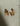 Valiente New York Monarch Earrings