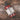 Mammoth Beard Co. Beard & Body Wash Gel | Backwoods Timber