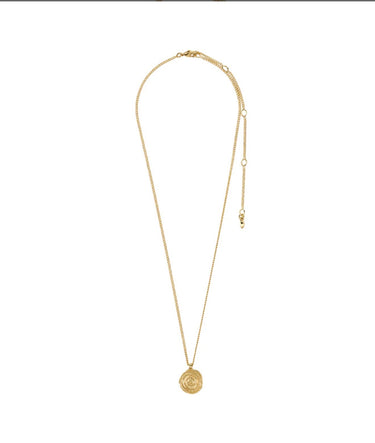 Pilgrim Air Spiral Coin Necklace
